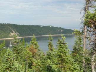 tadoussac 049.jpg
